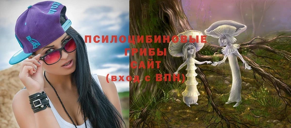 ГАЛЛЮЦИНОГЕННЫЕ ГРИБЫ Майский