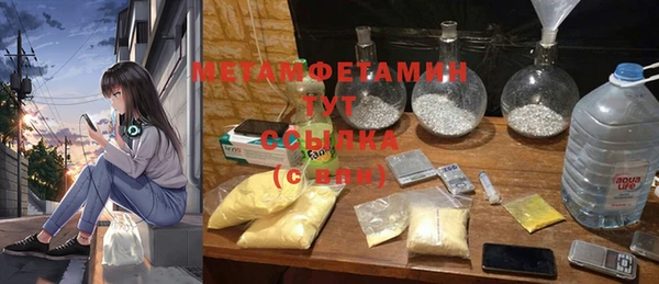 PSILOCYBIN Аша
