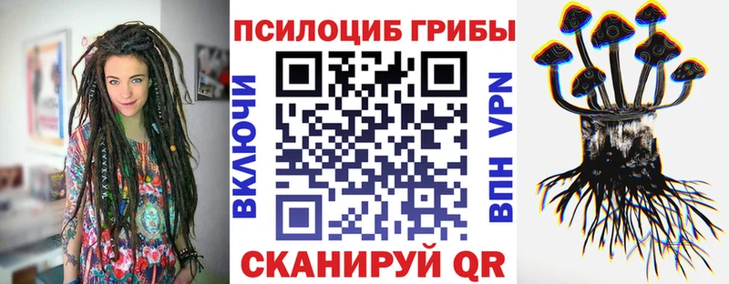 Галлюциногенные грибы Cubensis  MEGA как войти  Невельск  купить наркоту 