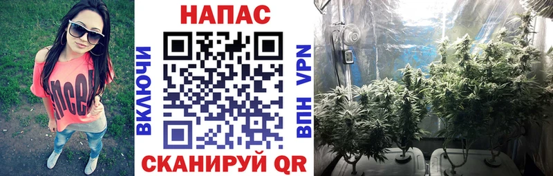 даркнет сайт  Невельск  Каннабис гибрид 